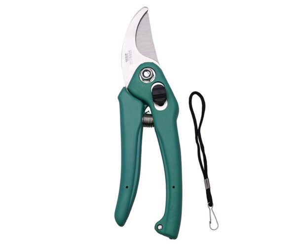 chinese pruner
