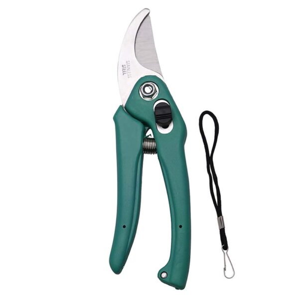 chinese pruner