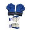 left-right-regular-wicket-keeping-gloves-combo-with-basic-original-imafkhjj7evrpyyt