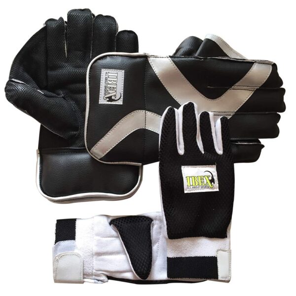 Wicket Keeping Gloves Combo