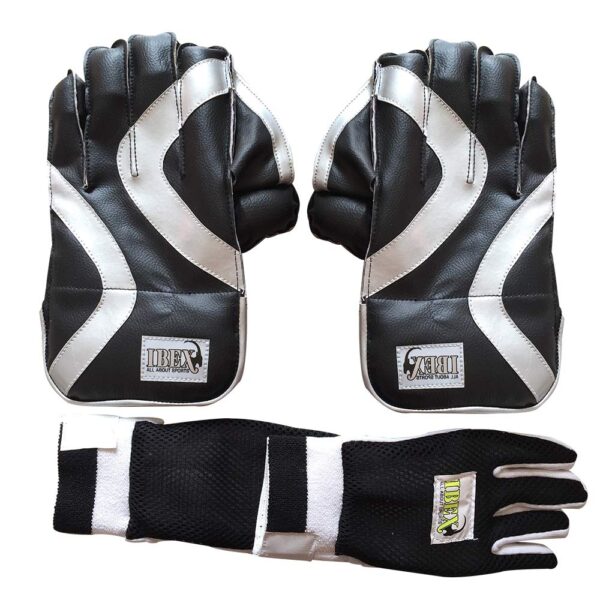 Wicket Keeping Gloves Combo