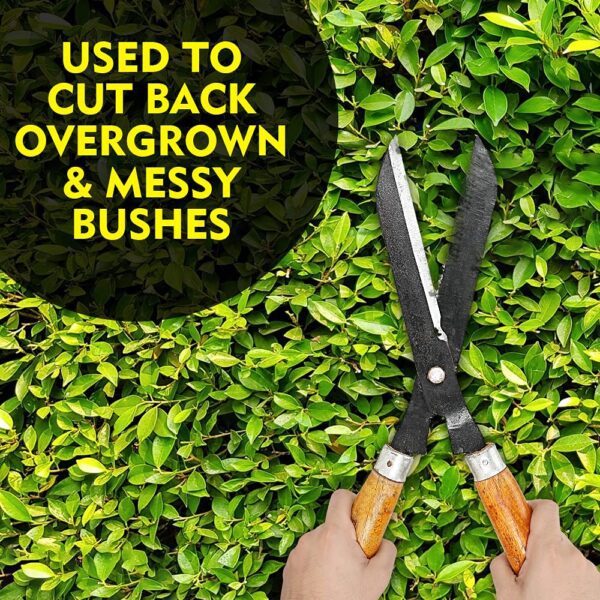 JetFire Hedge Shear
