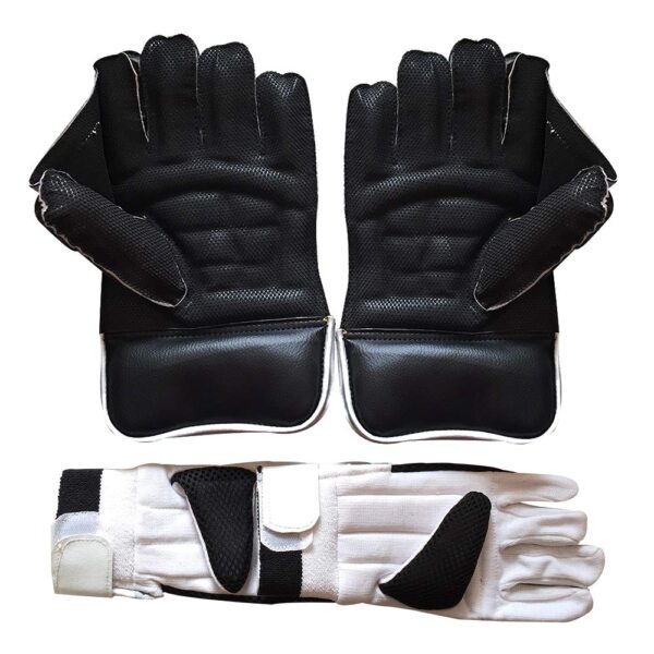 Wicket Keeping Gloves Combo
