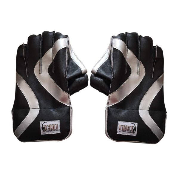 Wicket Keeping Gloves Combo