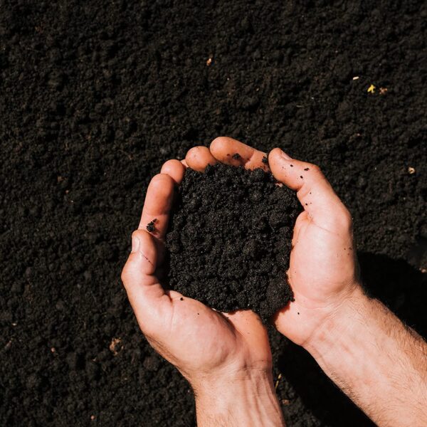 JetFire Vermicompost for plants