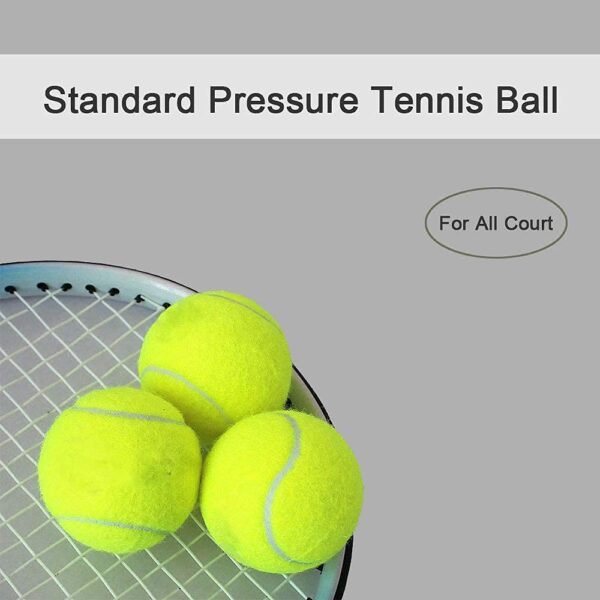 Table Tennis Ball