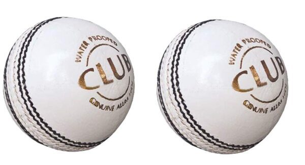 Leather White Ball Pack of 2