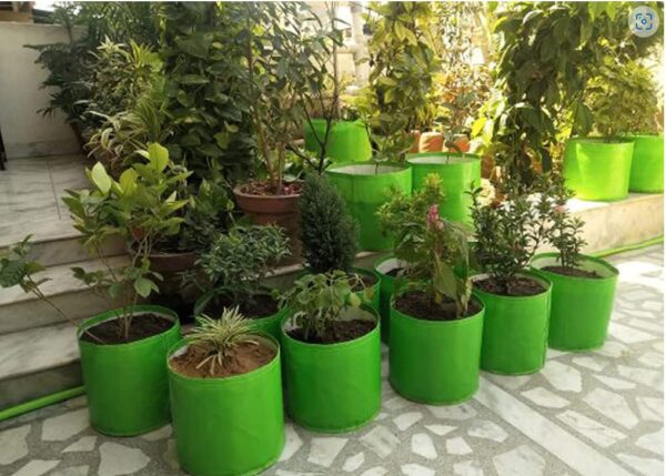 Outdoor & Indoor Pot Bags