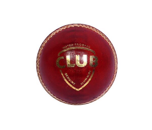 Leather Red Ball