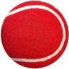 Cricket Red Tennis Ball