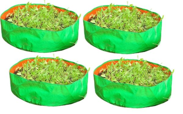 Gardening Leafy Vegetable Grow Bag