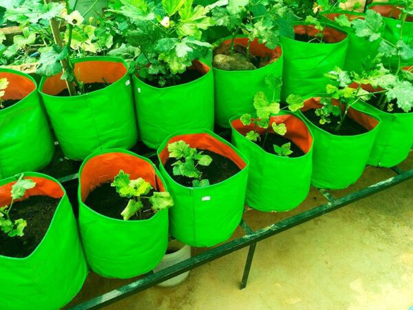 Terrace Grow Bags