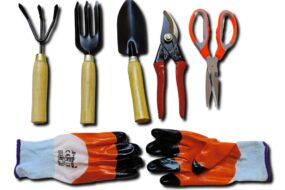 Garden Wooden Tool Set German Cutter Scissor Gloves