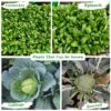 Garden Grow Bag