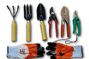 Mini Tool Set With Double Cut, Roll Cut, Pruner & Gloves
