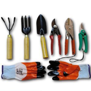 Mini Tool Set With Double Cut, Roll Cut, Pruner & Gloves